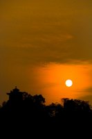 IMG_4944.jpg