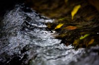 IMG_4967.jpg
