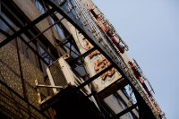 IMG_5019.jpg