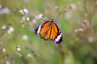 IMG_5310.jpg
