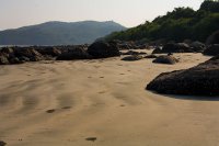 IMG_5336.jpg