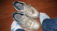 IMG_1081.jpg