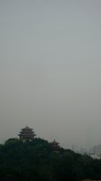 IMG_1105.jpg