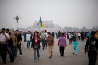 IMG_3729.jpg