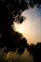 IMG_3760.jpg