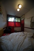 IMG_3780.jpg