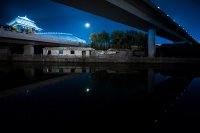 IMG_3822.jpg