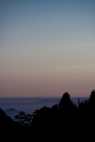 IMG_4320.jpg