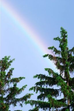 pot o gold?