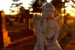 petulant cherub