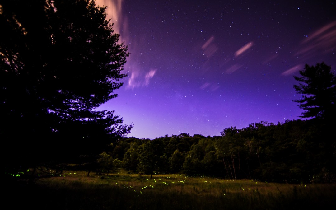 Stars above and stars below